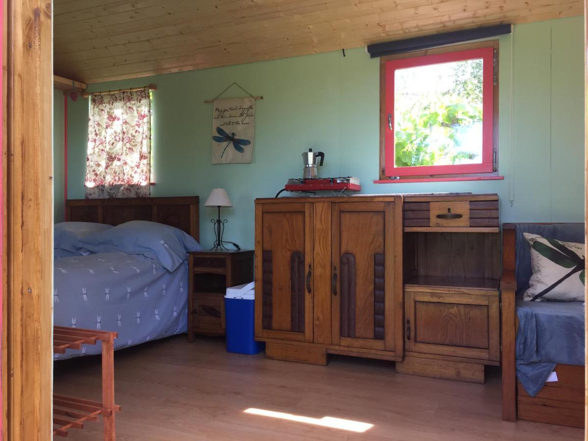 Rosa The Cosy Cabin - Gypsy Wagon - Shepherds Hut, River Views Off-Grid Eco Living Pedrogao Grande Dış mekan fotoğraf